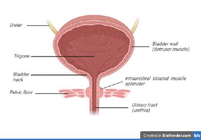 Diagram

Description automatically generated